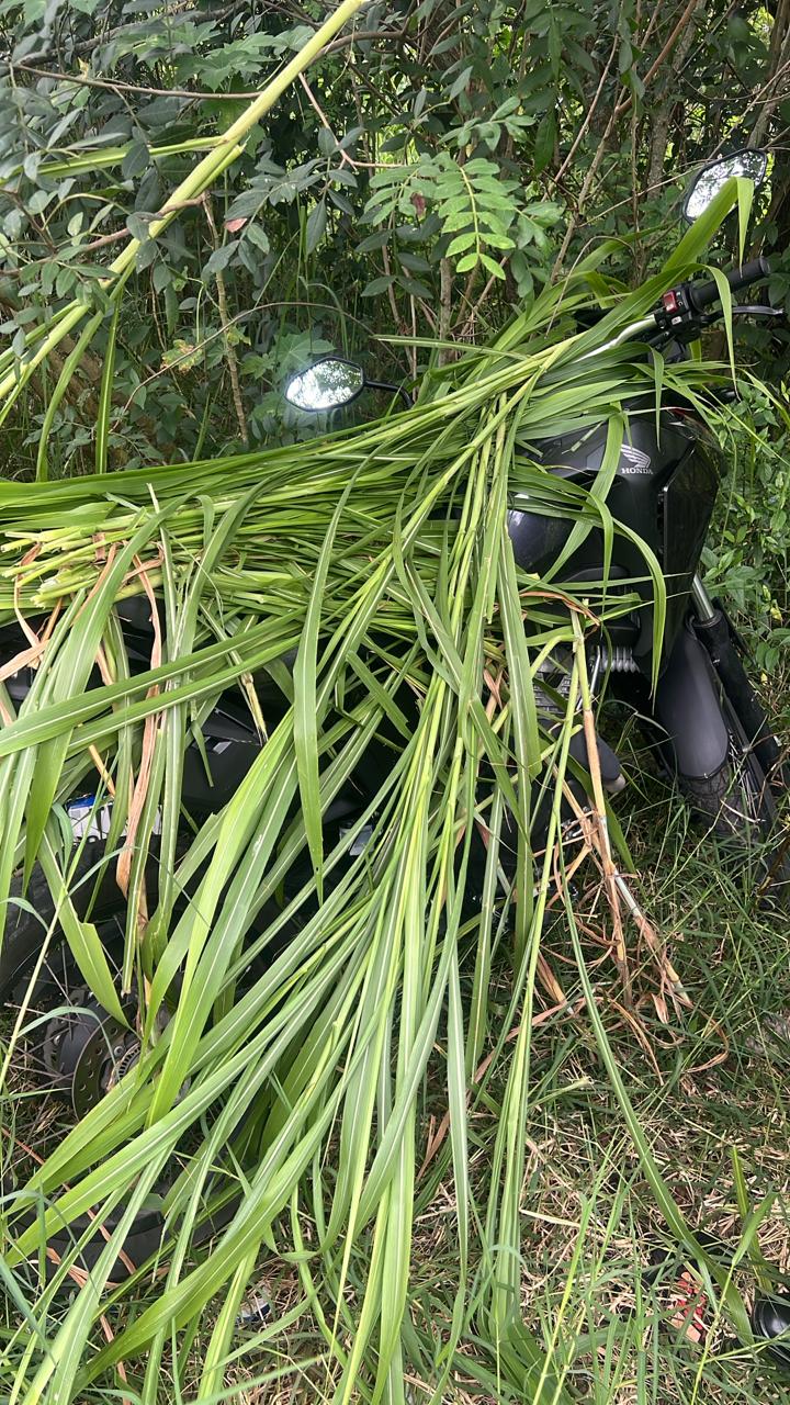 Moto localizada em área de mata